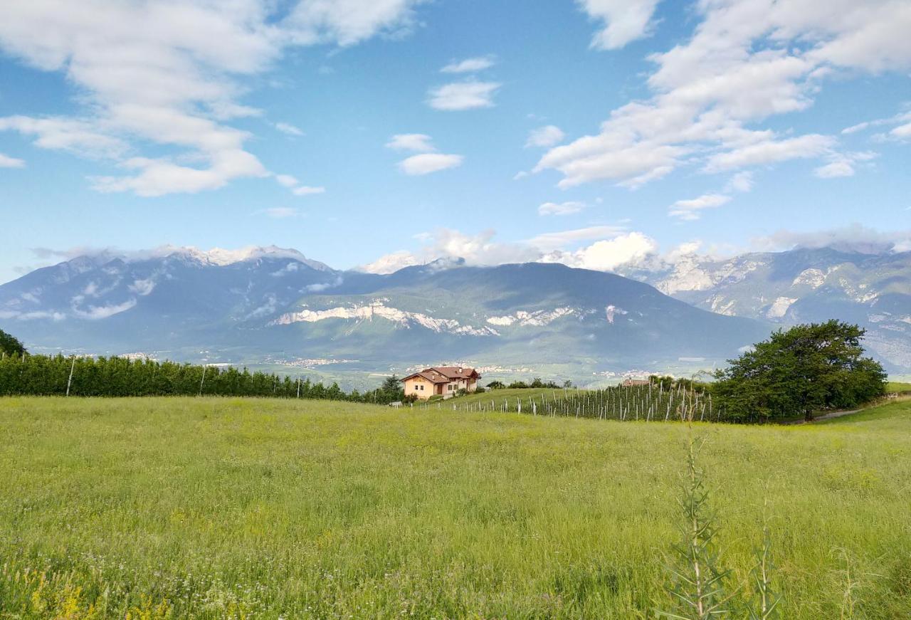 Appartamento Toma Mihaela Tres Dış mekan fotoğraf