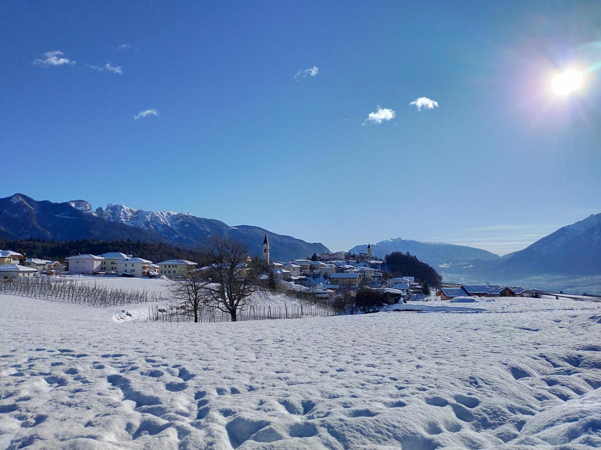 Appartamento Toma Mihaela Tres Dış mekan fotoğraf